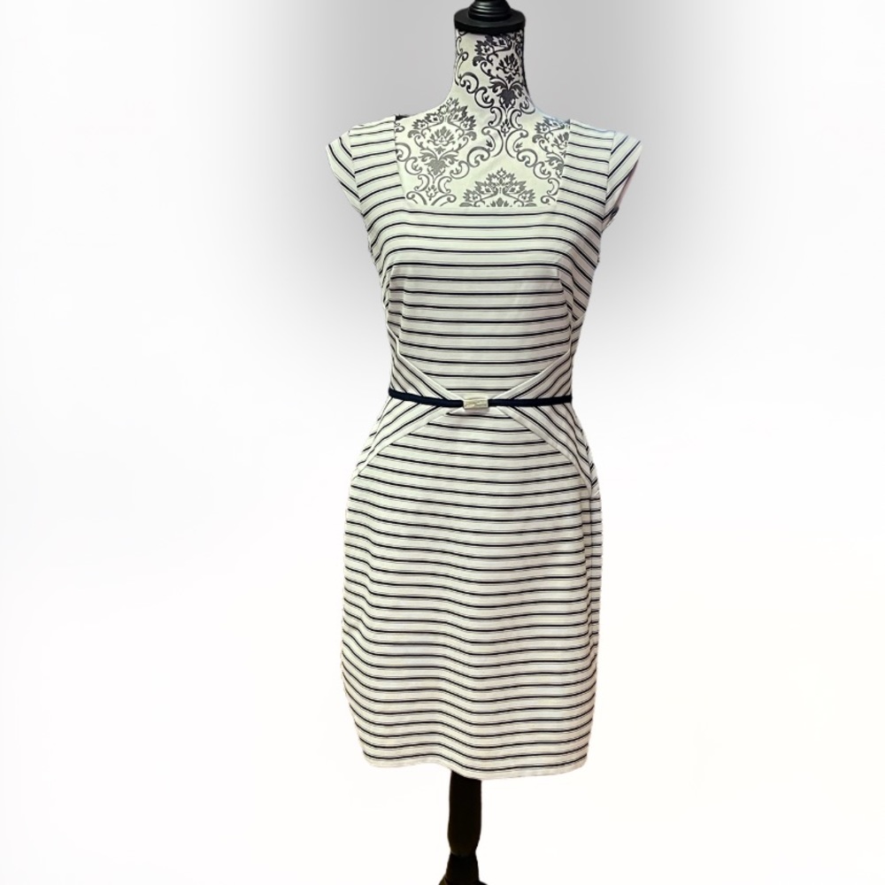 Ann taylor Dress